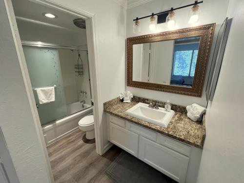 One-Bedroom Apartment image 5