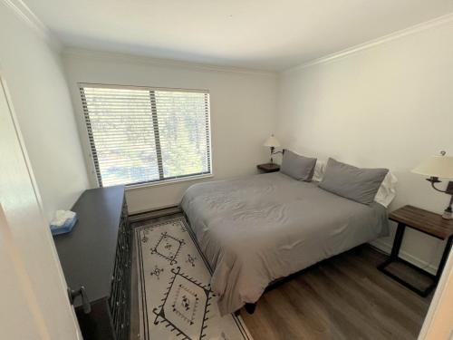 One-Bedroom Apartment image 4