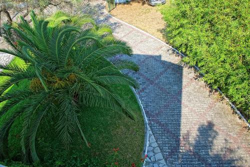 塔勒罗度假中心公寓式酒店 塔勒罗度假中心公寓式酒店