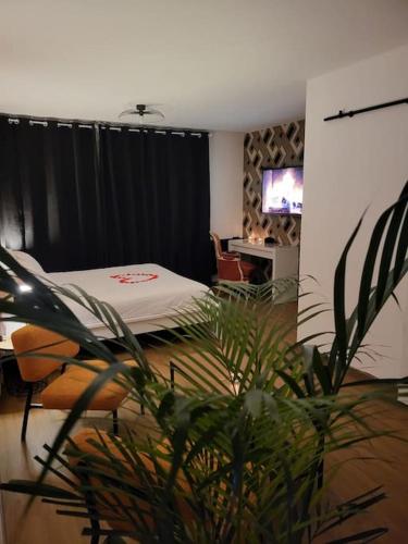 Cosy Corner - Appartement spa - Jacuzzi