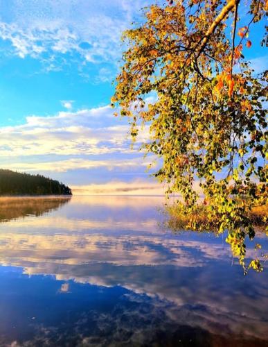 Modern apartment with free parking & sauna in Ylöjärvi