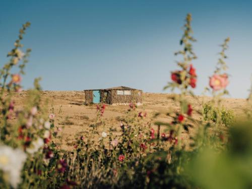 Succah in the Desert, Mitzpe Ramon