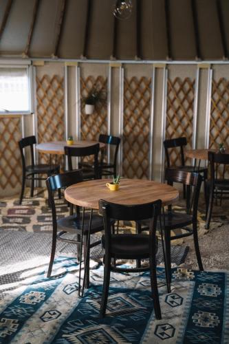 Einrichtungen, Succah in the Desert in Mitzpe Ramon