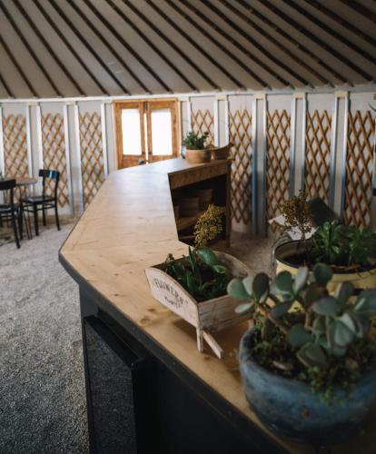 Einrichtungen, Succah in the Desert in Mitzpe Ramon