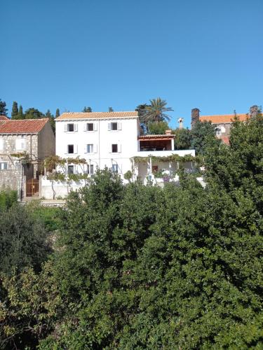  Villa Sea Dream Koločep in Koločep