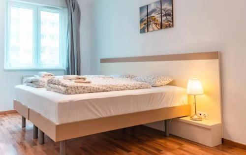 Corvin holiday Apartments hotel - image 2