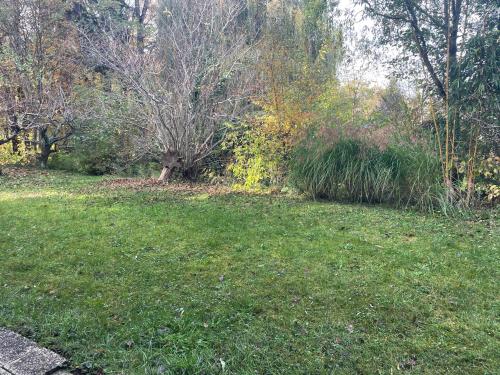 Garden, Ruhiges Appartement im Grunen in Sankt Peter