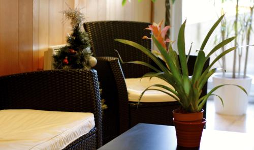 Előcsarnok, Appart'hotel Les Palatines in Saint-Etienne