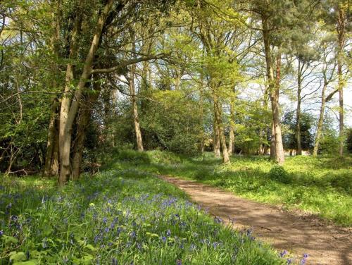 Wyre Forest Cottage