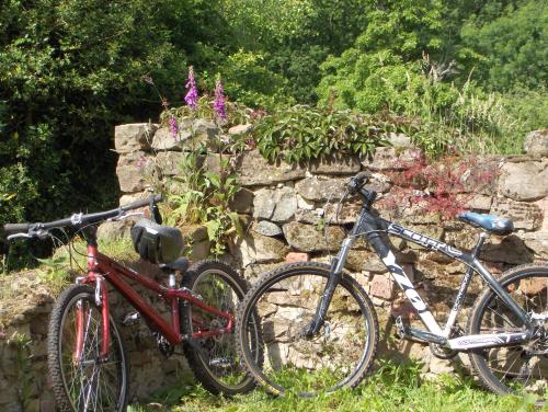 Wyre Forest Cottage