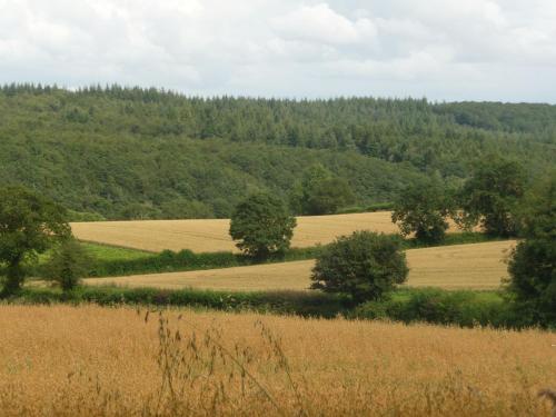 Wyre Forest Cottage