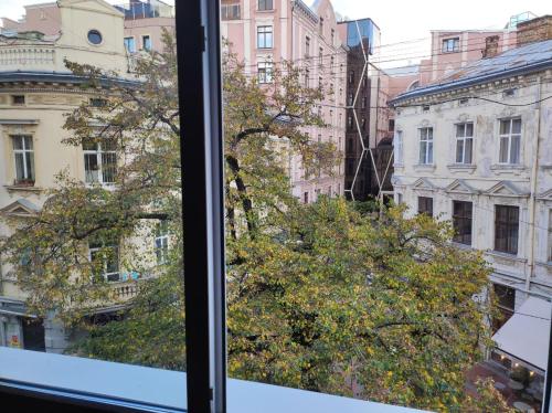 Rooms in the center of Lviv, Lviv (photo 4)