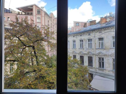 Rooms in the center of Lviv, Lviv (photo 5)