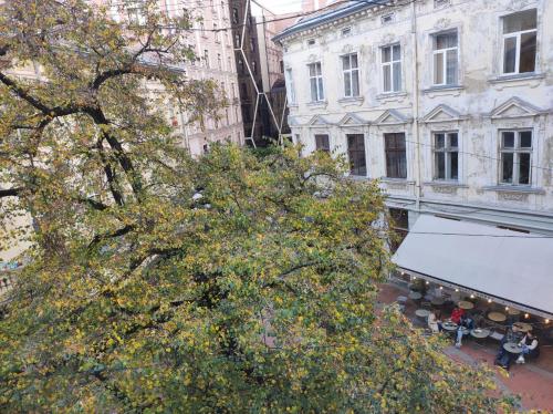 Rooms in the center of Lviv, Lviv (photo 10)