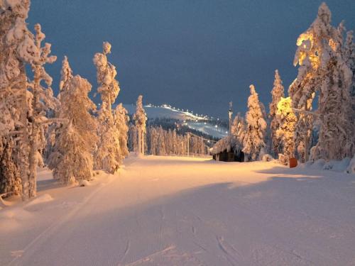 Levi Chalets, Kittilä (photo 10)
