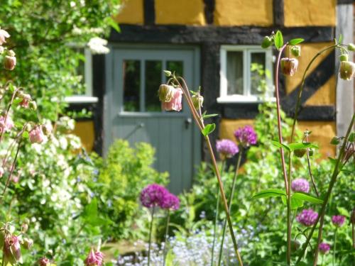 Wyre Forest Cottage