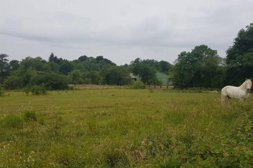 Charmante ancienne Gare Halte relais Bonsmoulins in 穆蘭拉馬爾克