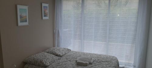 Jolie suite parentale, chambre et salle d'eau, avec son coin de verdure à 5 minutes à pied du centre ville, Bordeaux (photo 5)