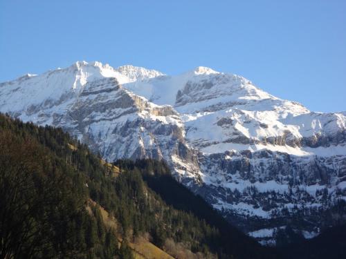 Bühlerhof - image 5