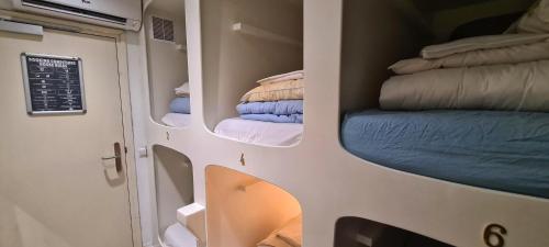 The Golden Stork Room Type - 6 bed mixed dorm
