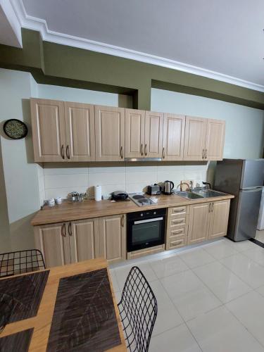 Vila Tafa apartments ap3, Tirana (photo 6)