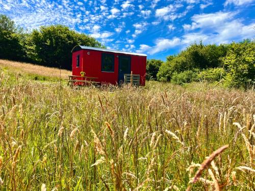 Shepherds Hut Glamping