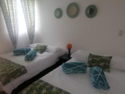 Apartasol 102c Tebaida Quindio