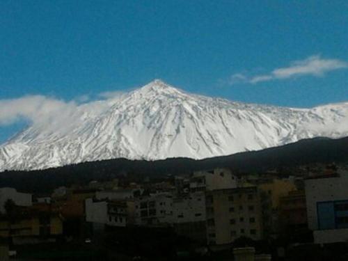 La Chosita - image 5