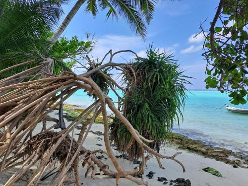 Summer Sky Thoddoo Summer Sky Thoddoo