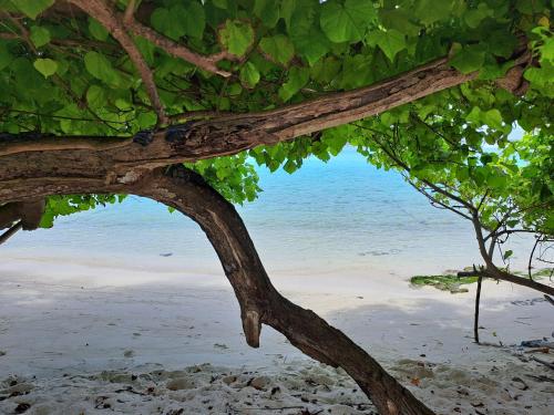 Summer Sky Thoddoo Summer Sky Thoddoo