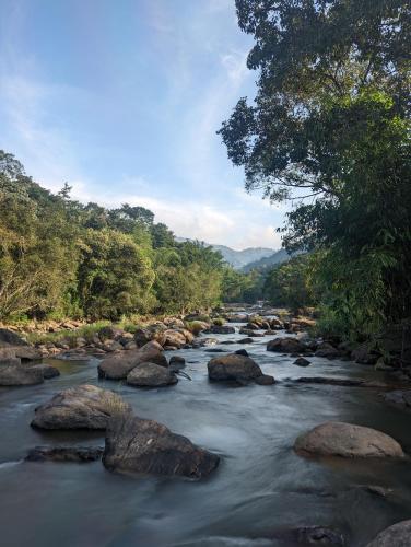 Ayursakthi Riverdale Resorts