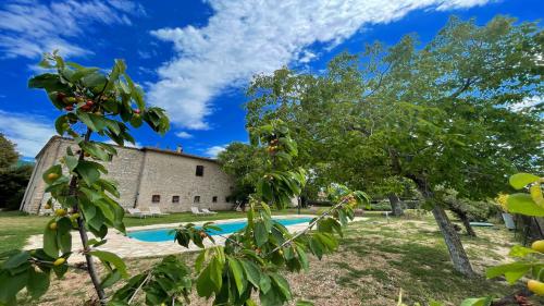 Exclusive Pool-open All Year-spoleto Biofarm-slps 8-village shops, bar1 km 4