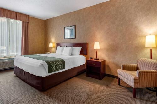 Comfort Inn Sturgeon Falls Room Type - Standard King Room