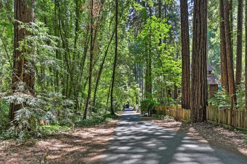 Quiet Cottage with Redwood Forest Views and Deck!