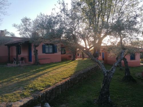 ALDEA VETONIA Complejo vacacional de Casitas Estudios y Chalets de 1 y 2 habitaciones con porche privado en Hervás -Mayo y Junio Salida hasta las 21h gratis sujeto a disponibilidad-Julio y agosto 4 actividades al día y Restaurante Terraza - image 4
