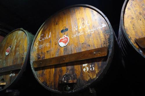 Hotel Rural Sagarlore - image 6