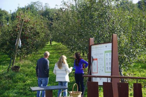 Hotel Rural Sagarlore - image 10