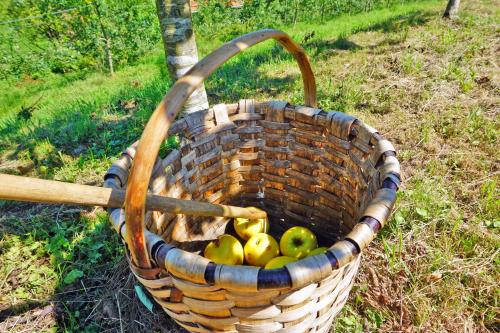 Hotel Rural Sagarlore