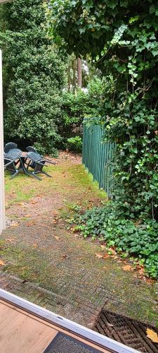 Garden, Dennenhuis in Vaassen