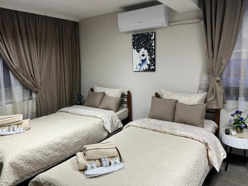 Guest House Tatiana Studio in 佩特里奇