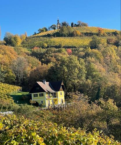 Malerisches Weingartenhäuschen in Kitzeck