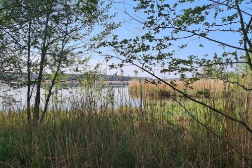 สภาพแวดล้อมโดยรอบ, Kleine Auszeit in เทรบบิน