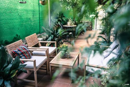 Aed, Picaza del Jerte in Jerte