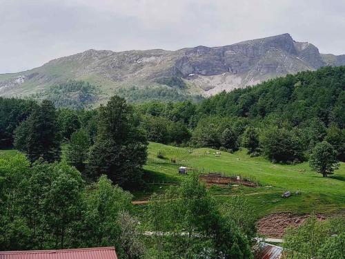 Skats, Apartmani Jelenača (Apartmani Jelenaca) in Lukomir