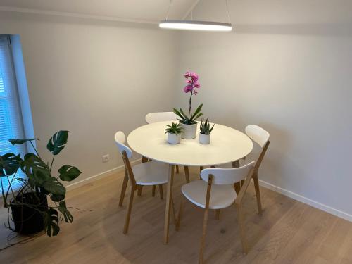 Food and beverages, Modern Central Apartment HOTEL in Jõgisoo