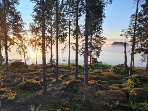 Rantarovio Rantarovio