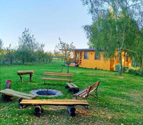 BRZOZOWY GAJ AGROTURYSTYKA in Jedlanka Stara