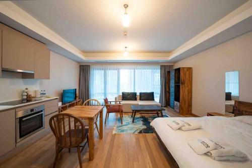 B&B Istanbul - Superior studio in Maslak 1453, 24/7 security ( Maslak C11 34 ) - Bed and Breakfast Istanbul