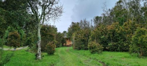 Cabañas Chucao Austral