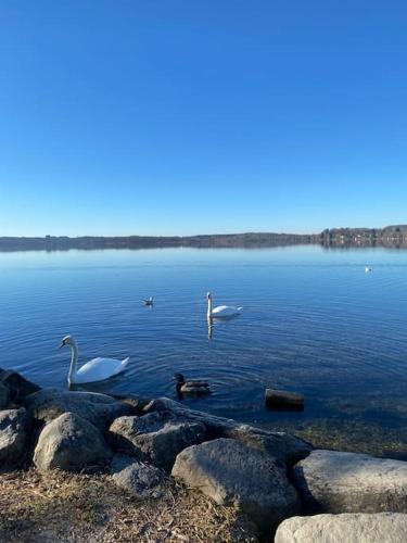 See-Appartement Wörthsee